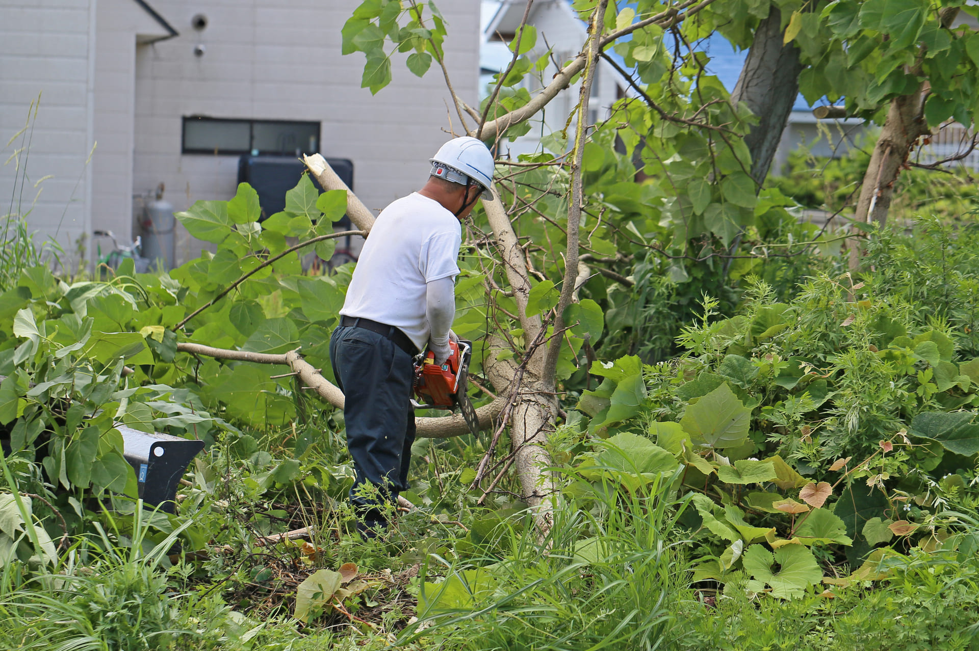 熊本市・北九州市で草刈りなら！