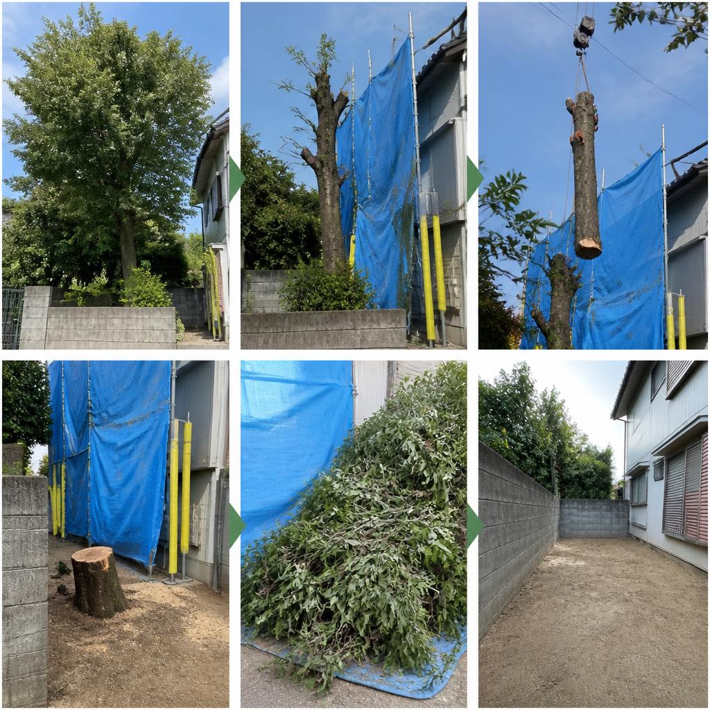 伐採作業の流れ