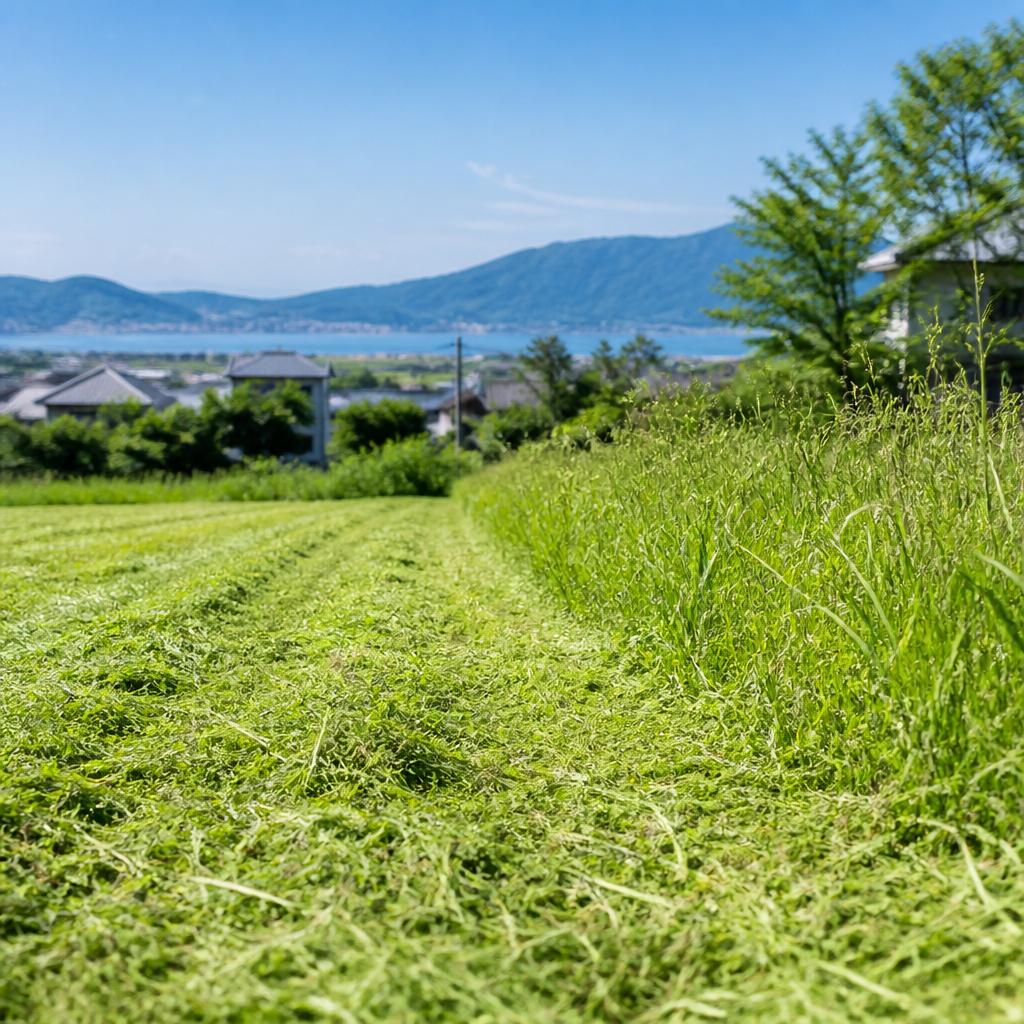 宇土市の草刈りサービス特長