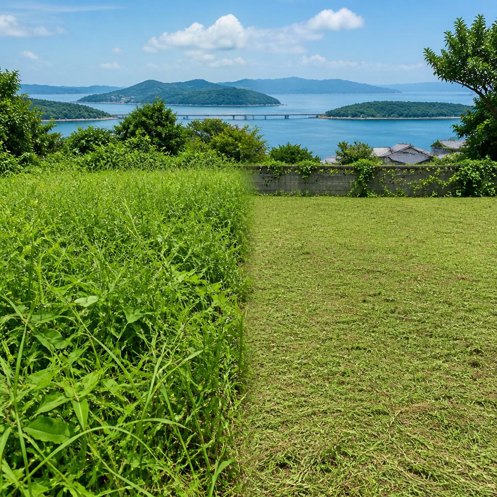 熊本県上天草市の安価な草刈りサービスで安心の仕上がり！