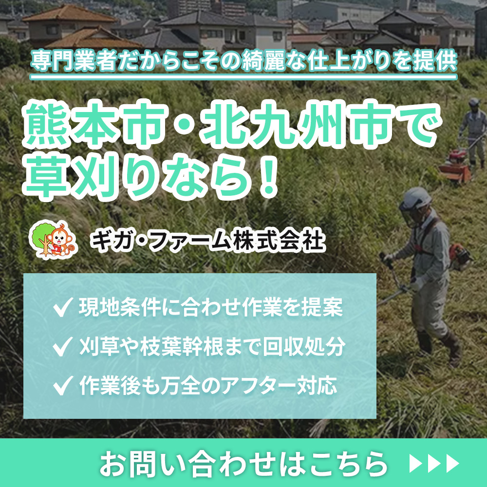 modal_banner